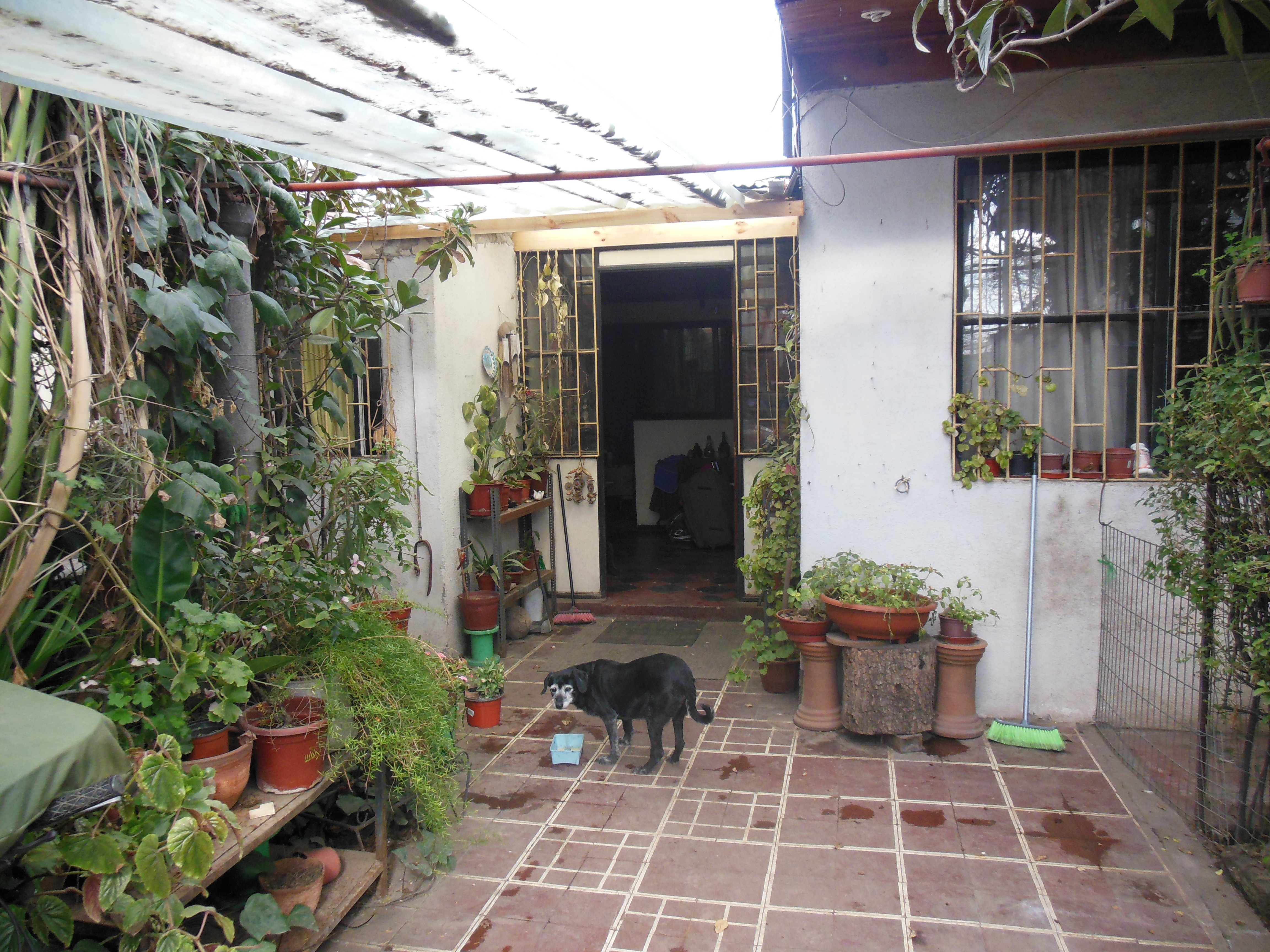Typowy chilijski dom